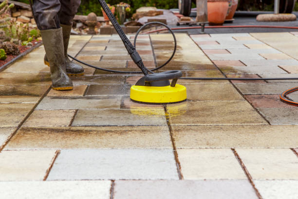 Best Solar Panel Cleaning  in Terrell Hills, TX